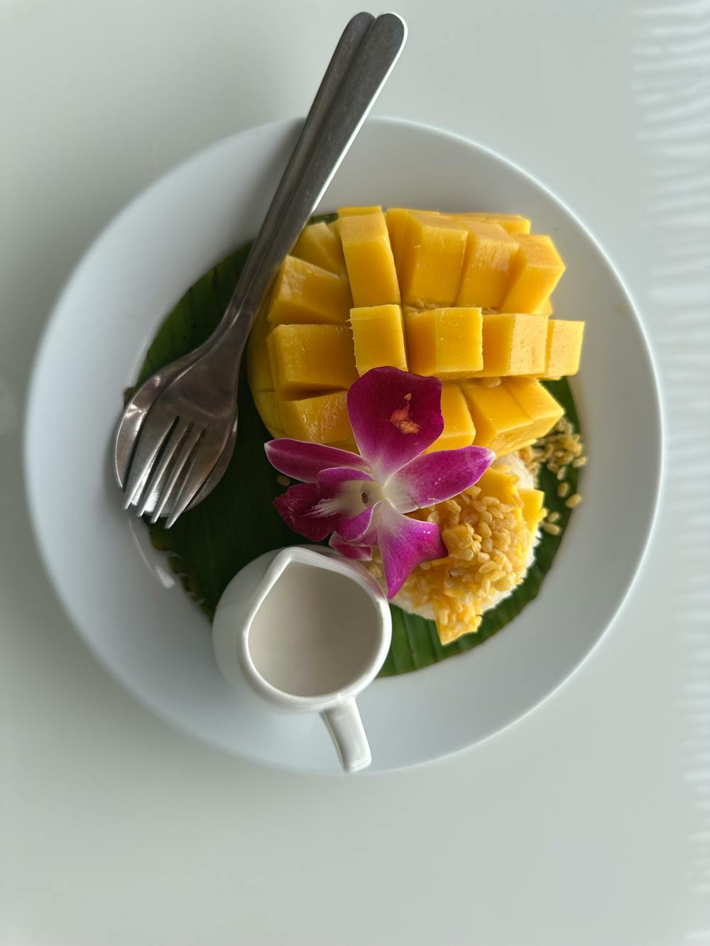 Mango Sticky Rice
