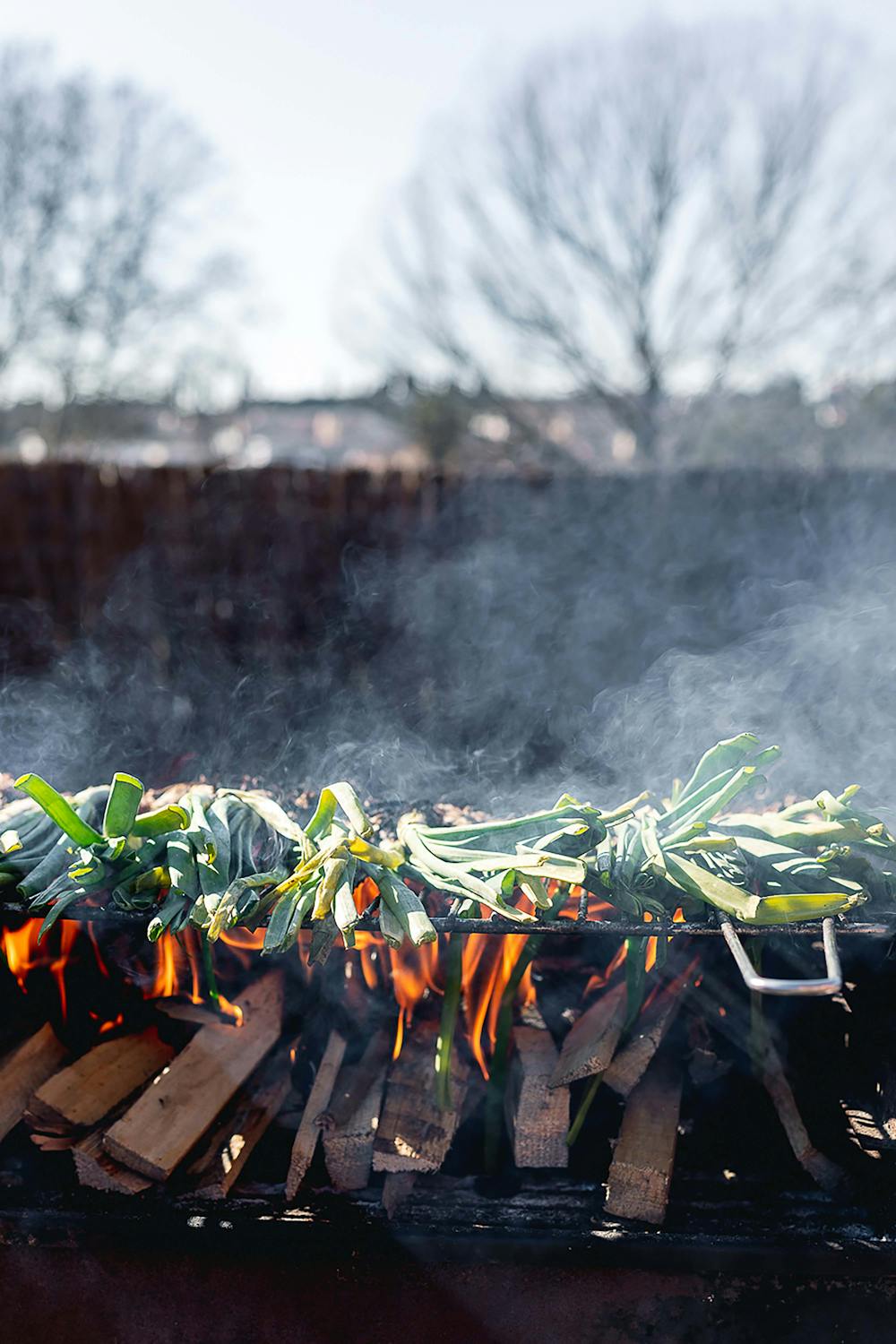 Calçots with Romesco