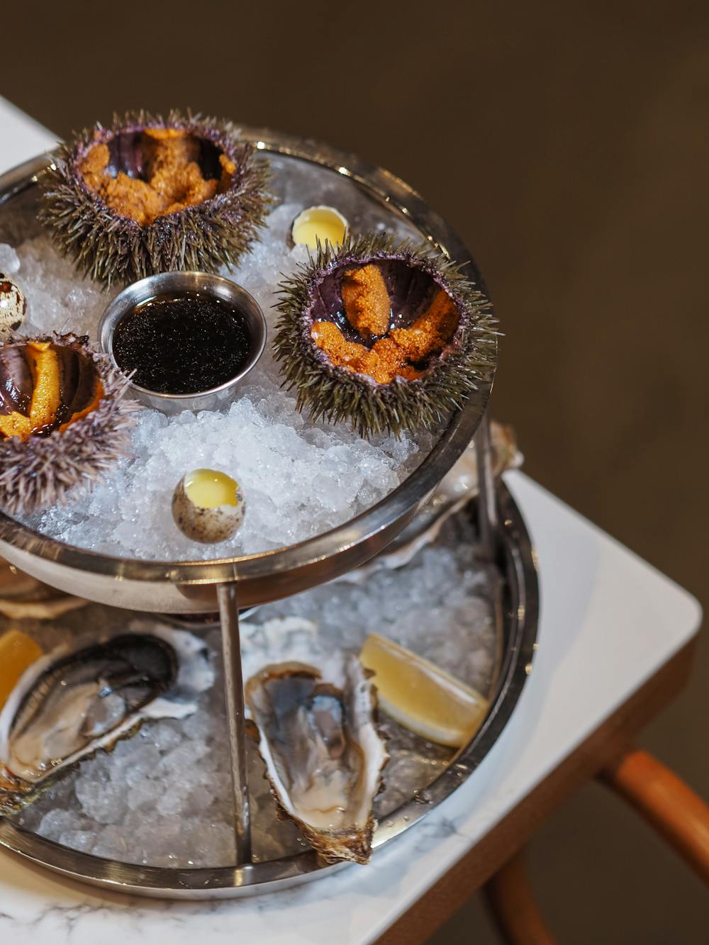 Sea Urchin (Uni)