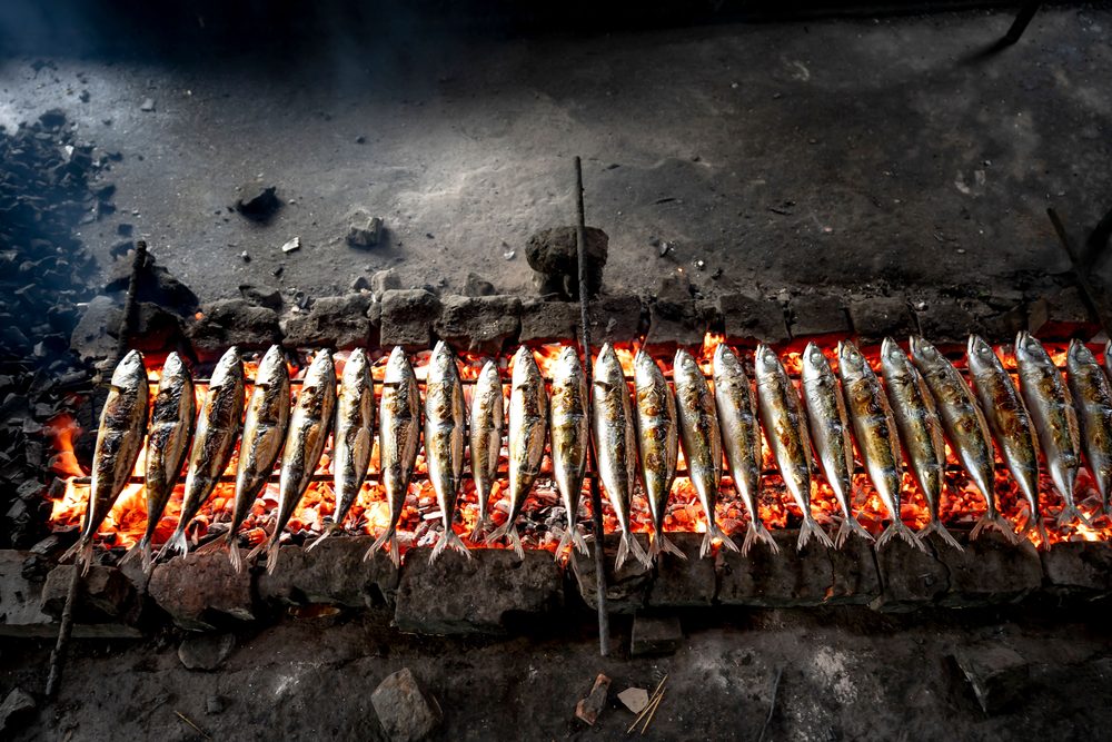 Grilled Sardines
