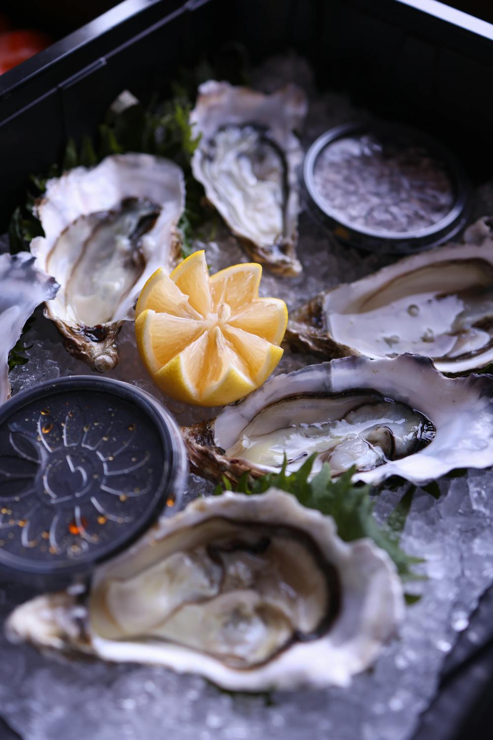 Hog Island Oysters